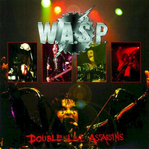 Double Live Assassins