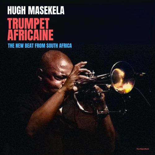 Trumpet Africaine