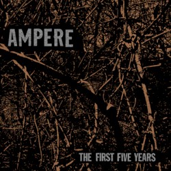 The First Five Years