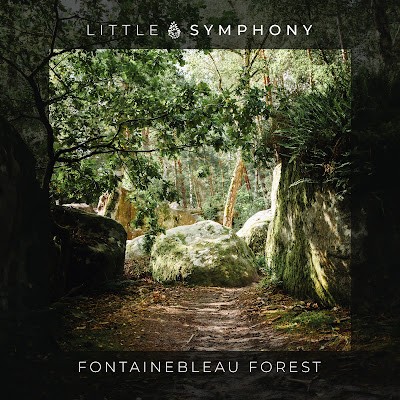 Fontainebleau Forest