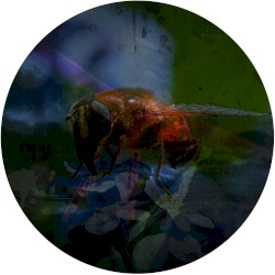 Arkada #003