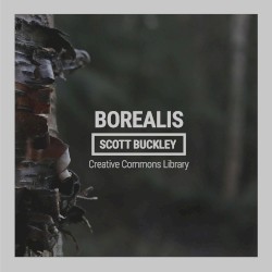 Borealis