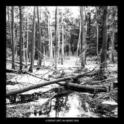 A Distant Mist, an Absent Sun