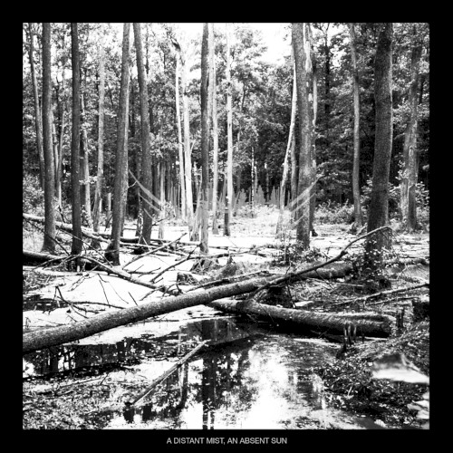 A Distant Mist, an Absent Sun