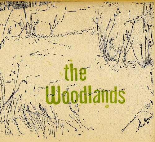 The Woodlands