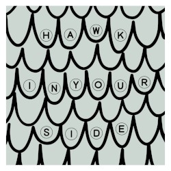 Hawk In Your Side (BABii remix)