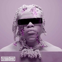 DS4EVER (Chopped Not Slopped by DJ Candlestick)