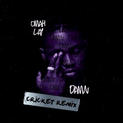 Damn (Cricket Remix)