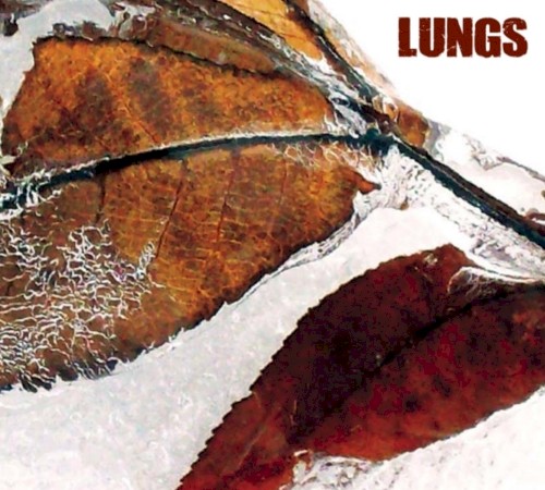 Lungs