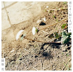 君によく似た人がいる
