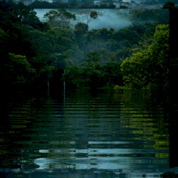 Nature Speaks