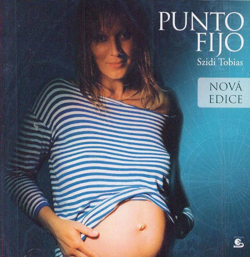 Punto Fijo