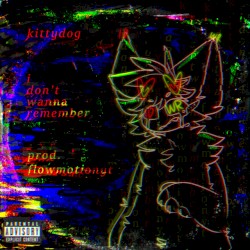 I Don't Wanna Remember