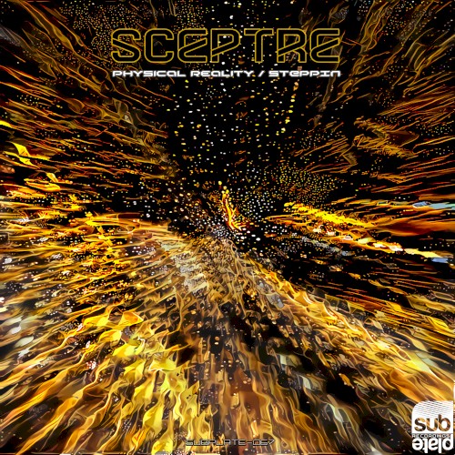 Physical Reality / Steppin
