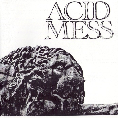 Acid Mess