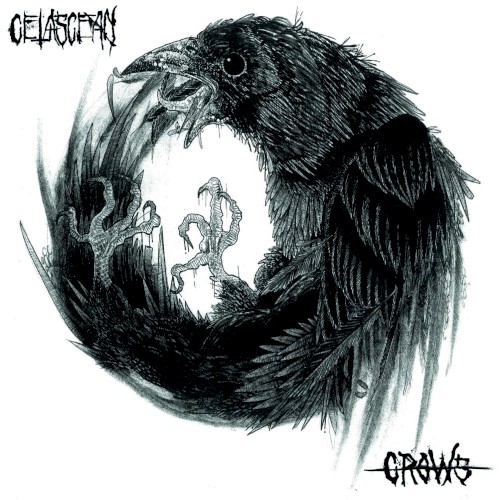CROWS