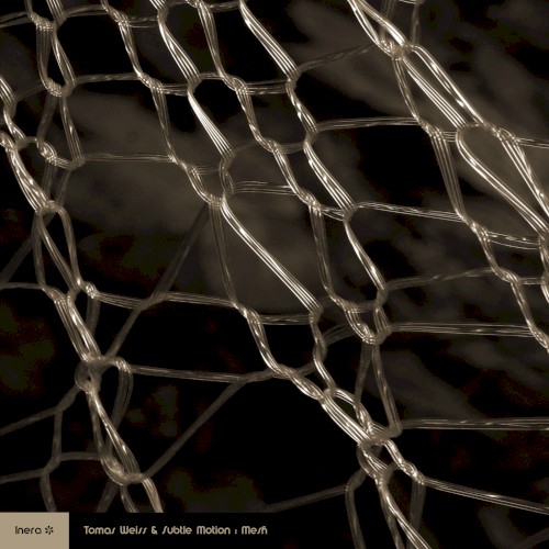Mesh