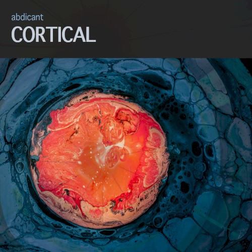 Cortical