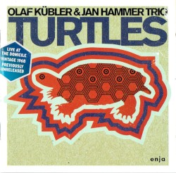 Turtles (live at The Domicile vintage 1968)