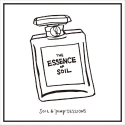 The Essence of Soil