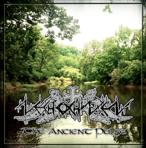 The Ancient Pulse