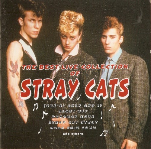 The Best Live Collection of Stray Cats