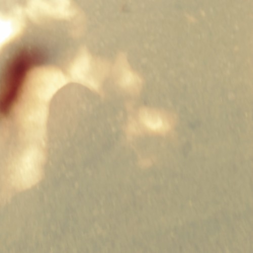 Behind a Sheet of Broken Glass