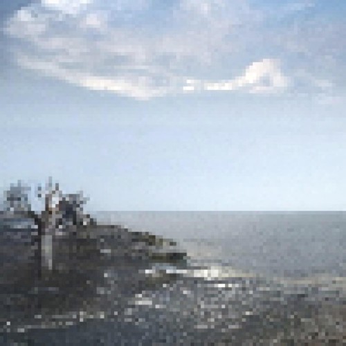The Ocean