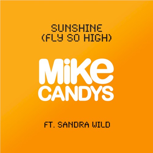Sunshine (Fly So High)