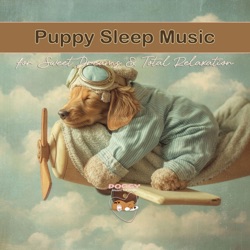 Sweet Dreams
