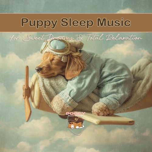 Sweet Dreams