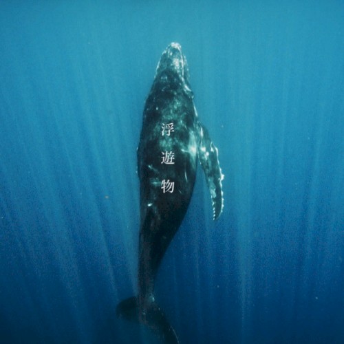 浮遊物
