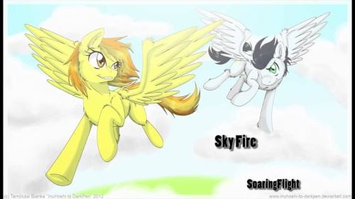 Sky Fire