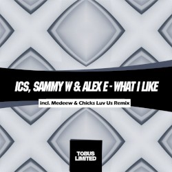 What I Like EP