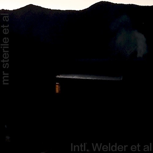 Intl. Welder et al