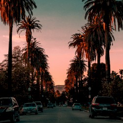 Sunset Blvd