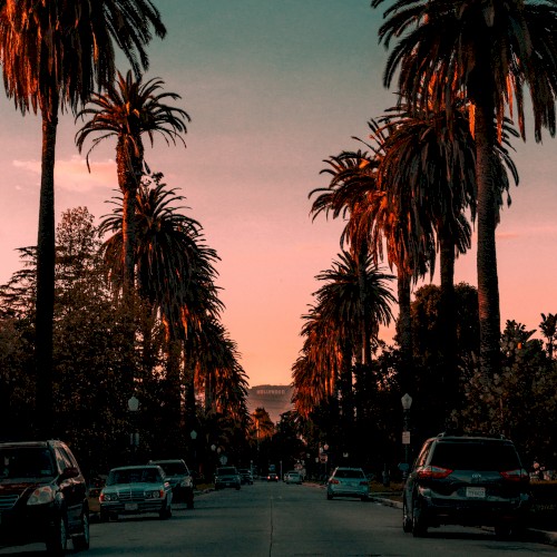 Sunset Blvd