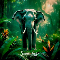 Somewhere