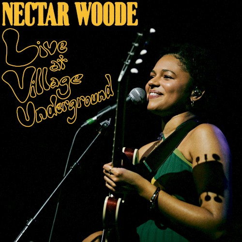 Live at Village Underground