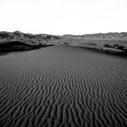 Desert Scars