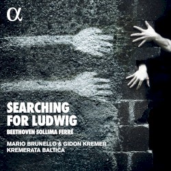 Searching for Ludwig