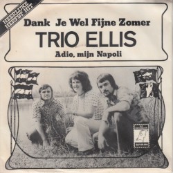 Dank je wel fijne zomer / Adio, mijn Napoli
