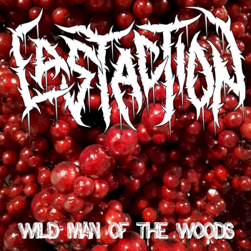 Wild Man of the Woods