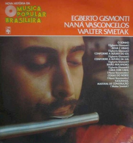 Nova história da música popular brasileira