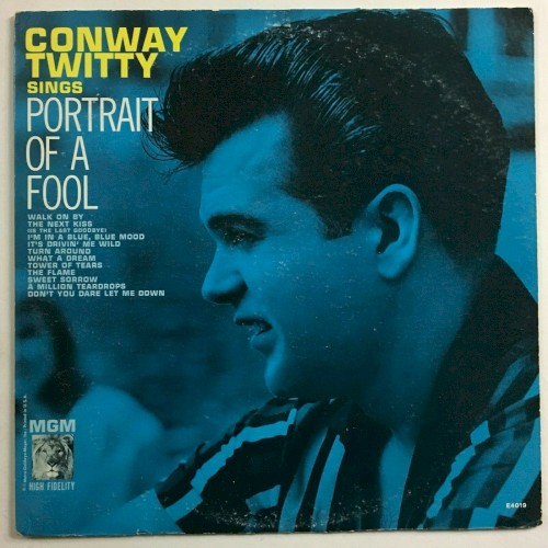 Portrait of a Fool