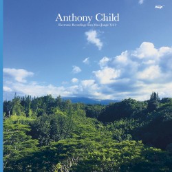 Electronic Recordings from Maui Jungle Vol. 2