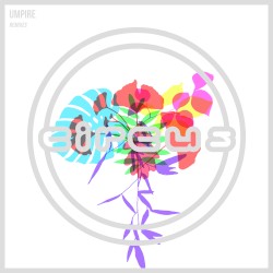 Remixes