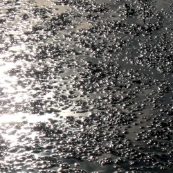 Kokolias