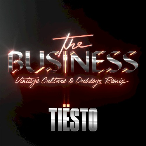The Business (Vintage Culture & Dubdogz remix)