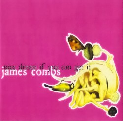 Nice Dream If You Can Get It